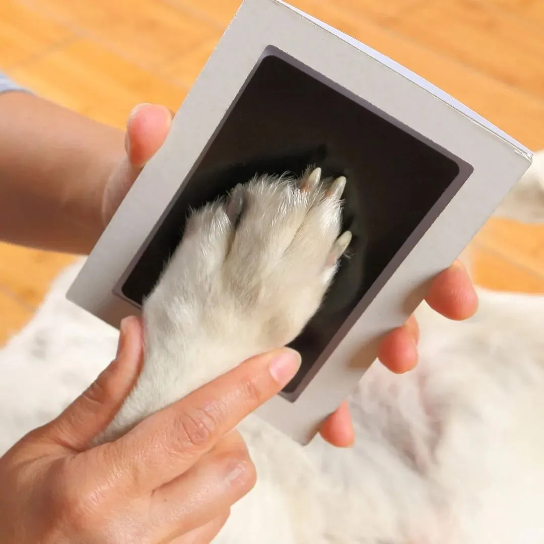 DIY Inkless Pet Paw Print Keepsake Kit