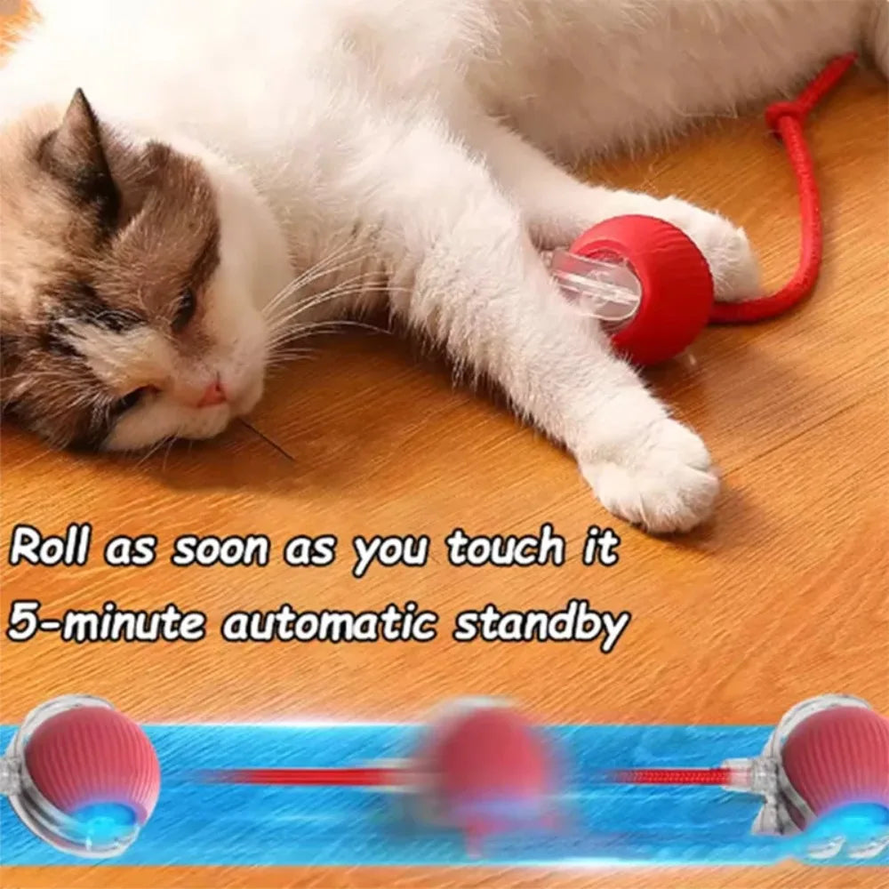 Interactive Smart Cat Toy Ball