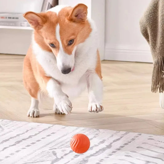 Intelligent Automatic Moving Dog Toy Ball (USB-C Rechargeable)