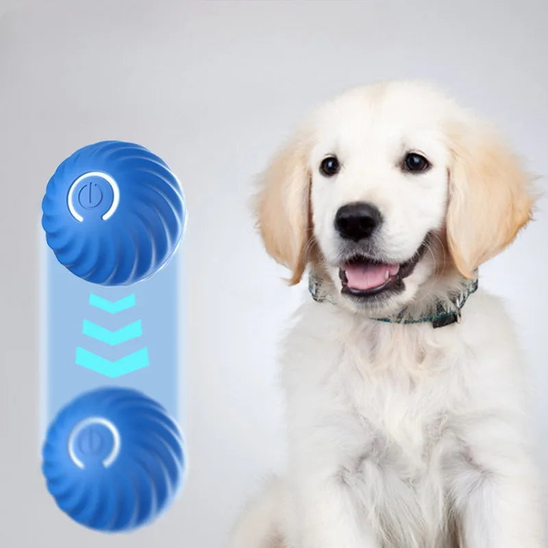 Intelligent Automatic Moving Dog Toy Ball (USB-C Rechargeable)