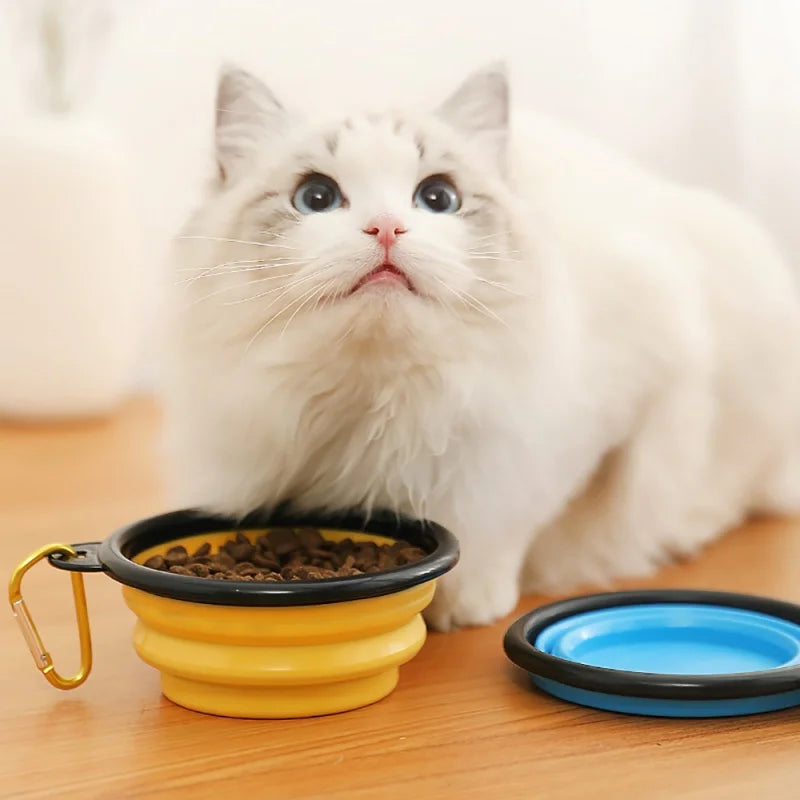 Non-Deformable Folding Pet Travel Bowl with Keychain (350ml)