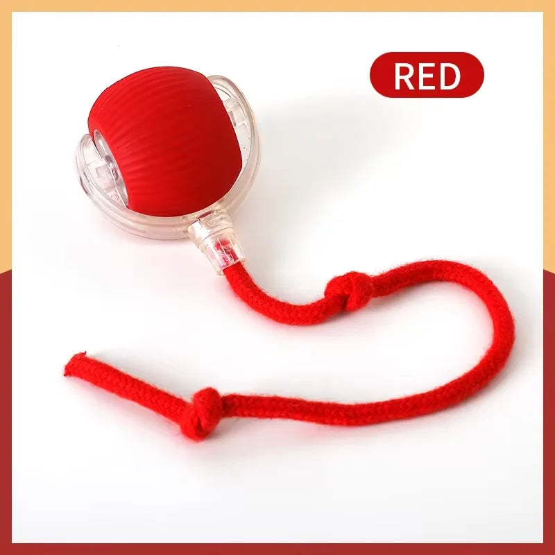 Interactive Smart Cat Toy Ball