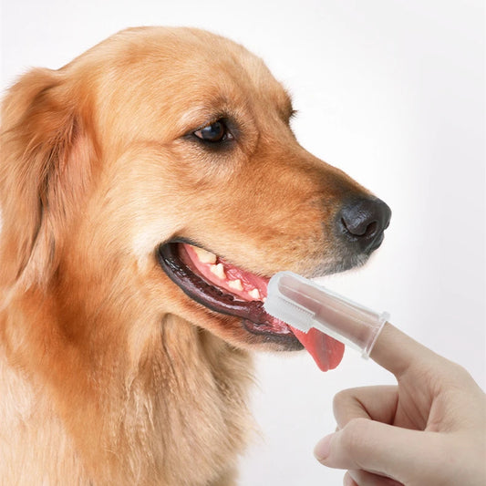 Nontoxic Silicone Pet Finger Toothbrush for Gentle Dental Care