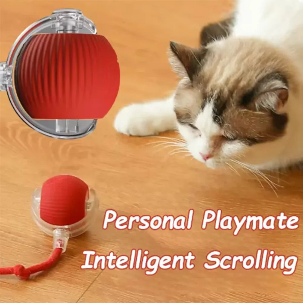Interactive Smart Cat Toy Ball