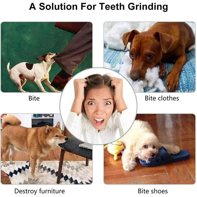 Multi-Function Pet Treat Feeder Ball - Nontoxic Dental Chew Toy