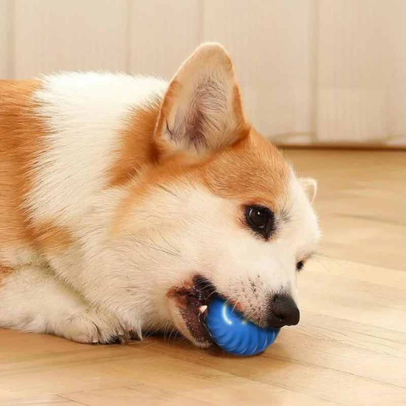 Intelligent Automatic Moving Dog Toy Ball (USB-C Rechargeable)